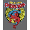 Men's Marvel Amazing Spider-Man Responsibility Pull Over Hoodie - 2 of 4