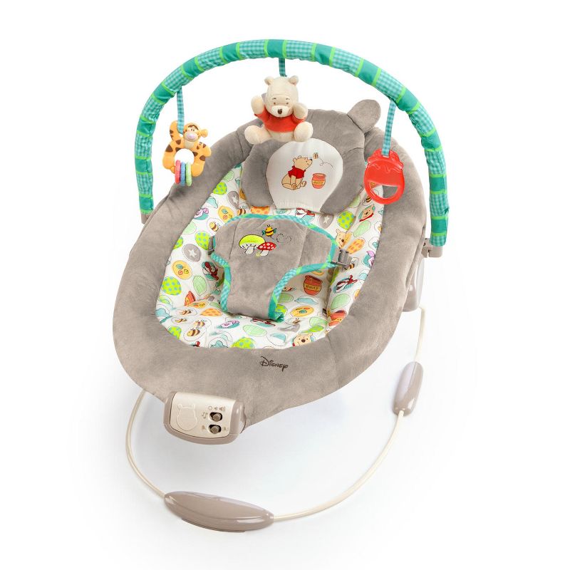 Bright Starts Winnie the Pooh Dots and Hunny Pots Baby Bouncer, 1 of 16