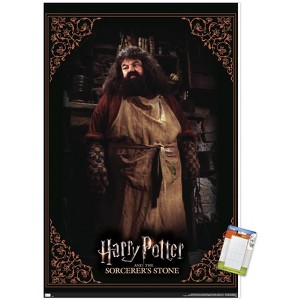 Trends International Harry Potter and the Sorcerer's Stone - Hagrid Cooking Unframed Wall Poster Prints - 1 of 4