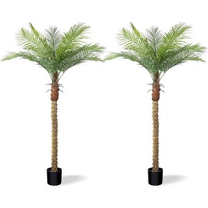 Vitalismo 2-Pack 5ft Artificial Palm Trees in Black Pot Indoor Outdoor ...