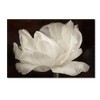 Trademark Fine Art -Cora Niele 'White Tulip III' Canvas Art - 2 of 3