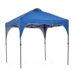 Ainfox 10' x 10' Outdoor Canopy Tent - 1 of 4
