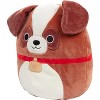 Squishmallows 10-Inch Sassafras the St. Bernard Dog- Officially Licensed Jazwares Plush- Collectible Puppy Stuffed Animal- Gift for Kids, Girls & Boys - 3 of 4