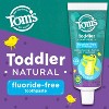 Tom's of Maine 1.75oz Fluoride-Free Mild Fruit Toddler Training Toothpaste + Colgate 2 Count My First Baby and Toddler Toothbrush - 4 of 4