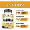 American Standard Supplements Organic Sea Moss, Bladderwrack & Burdock Root Capsules – 120 Capsules - 3 of 4