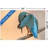 Trends International The Comedy Wildlife Photography Awards: Antonio Medina - Ashamed Unframed Wall Poster Prints - 3 of 4