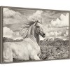 Amanti Art Free to Run by PHBurchett Framed Canvas Wall Art - 3 of 4