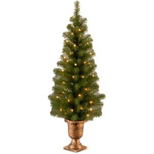 4' Prelit Pencil Montclair Spruce Artificial Christmas Tree Clear Lights - National Tree Company - 1 of 4