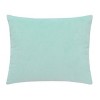 Disney Moana Free as the Ocean Aqua, Purple, Orange, and White Pua Pig Tropical Toddler Pillow - 3 of 4
