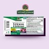 Nature's Answer Echinacea & Goldenseal Liquid Extract 4 Oz - 2 of 4