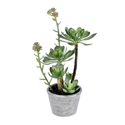 Vickerman 13.5" Artificial Green Succulent, Paper Pot.