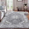 Acekool 5x7 Washable Area Rug, Non Slip, Thin, Foldable, Non-Shedding Carpet – Soft, Easy Care Floor Mat for Living Room, Bedroom, Kitchen - 2 of 4