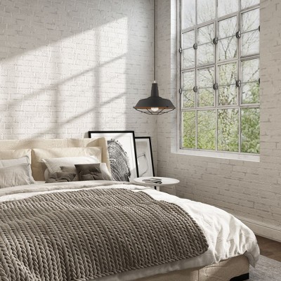 Brushed Aluminum Mini Pendant Light with Cage