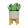 Okak Ceramic Plant Pot with Wooden Stand Elevated Flower Planter for Herbs, Vegetables, Fruits, Indoor/Outdoor, 2 Pack/1 Pack,10 Options - 4 of 4