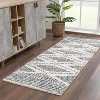 Hauteloom Trunding Plush Area Rug - 3 of 4