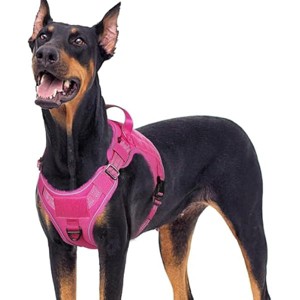 rabbitgoo Dog Harness for Large Dogs No Pull, l Handle, for Easy Walking and Training, Rose Red, XL - 1 of 1
