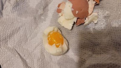Dash Egg Bite Maker - Aqua : Target