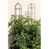 Gardener's Supply Company Zenith Folding Garden Supports, Set of 2 | Large Sturdy Plant Support for Growing Vegetables | Stands 74" High Installed - - 4 of 4