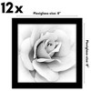 Americanflat 8x8 Picture Frame with Polished Plexiglass - Set of 12 - Signature Collection - Picture Frames with Engineered Wood - Black - 2 of 4