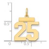 Black Bow Jewelry 14k Yellow Gold, Athletic Collection, Small Polished Number 25 Pendant - 2 of 3