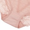 Agnes Orinda Women's Plus Sheer Lace Trim High-Rised Solid Briefs Stretchy Underwear - 3 of 4