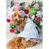 Parisian Pet 'Gingham Countryside Lace Dress' Dog & Cat Shirt – Stylish Blue Plaid Dress – Blue - 4 of 4