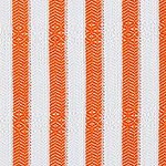 orange zebra