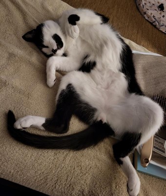 Guest review image 1 of 1, zoom in