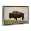 Stupell Industries Serene Buffalo on Country Hill Floating Frame Canvas Art - 2 of 4