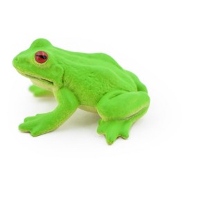 Collectible Wildlife Gifts | Green Tree Frog, Rubber Amphibian, Educational, Realistic,  Model,   Toys,  Gift,    1 1/4 Inches.    F7014 B33 - 1 of 4