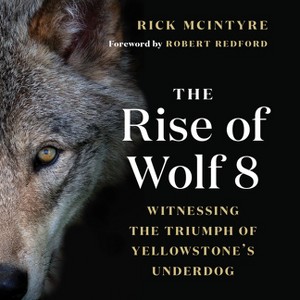 The Rise of Wolf 8 - (The Alpha Wolves of Yellowstone) by  Rick McIntyre (Paperback) - 1 of 1