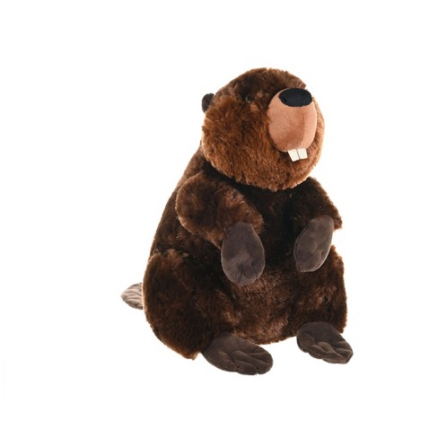 Beaver deals teddy bear