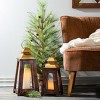 3' Sullivans Pine Tree With Curling Willow, Green - 3 of 3