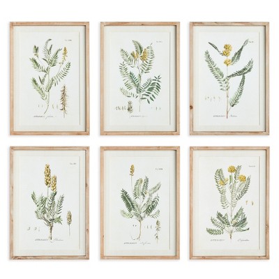 Plum & Post Mid-Summer Blooms Prints, Set Of 6