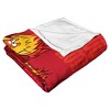 Warner Bros. Year Without Santa Claus Too Much Silk Touch Throw Blanket 50 x 60 Inches - 3 of 4
