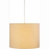 Mark & Day Winklern 14"H x 18"W x 18"D Traditional Gray Ceiling Lights - image 3 of 4