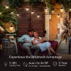 Brightech 12-Bulb LED Ambience Pro Solar 1W 27ft 2700K G40 Outdoor Orb and Globe String Lights Clear Bulb Black Wire - 2 of 4