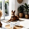 MaseiKar Adjustable Pet Bowl Travel Ready HDPE Durable Poly Lumber Recycled - 4 of 4