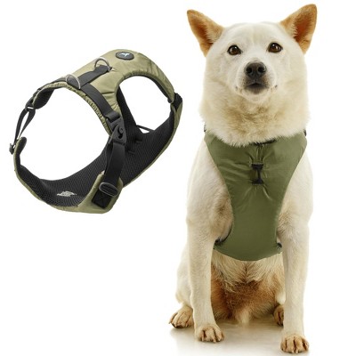Gooby Trailblazer Harness Olive Branch, Medium