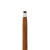 Design Toscano Empress Collection: Hook, Line, and Sinker Fish Chrome Solid Hardwood Walking Stick - 3 of 4