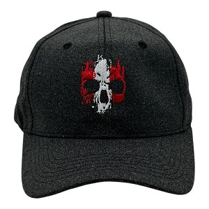 Grunge Striped Skull Hat Funny Awsome Cool Skeleton Graphic Novelty Cap - Crazy Dog Hat With Sarcastic Sayings Black Standard - 1 of 4