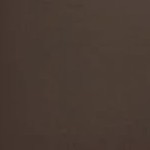 brown 12l