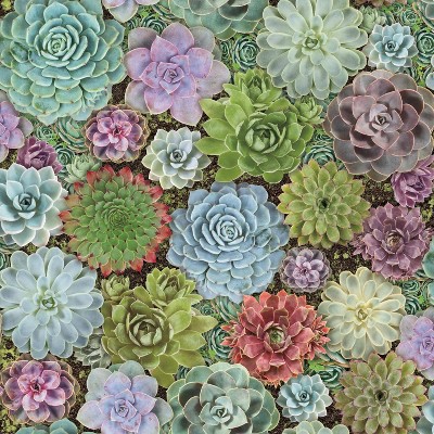 RoomMates 28.3" Succulents P&S Wallpaper