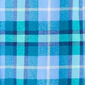 french blue cozy plaid