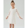 Girls' Boho Floral Lace Scalloped Hem Dress - 2 of 4
