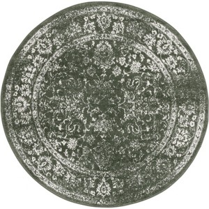 Adirondack ADR109 Non-Shedding Power Loomed Indoor Rug - Safavieh - 1 of 4