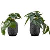 Artificial Plant, 8" Tall, Alocasia, Indoor, Faux, Fake, Table, Greenery, Potted, Set Of 2, Decorative, Green Leaves, Black Cement Pots - 3 of 4