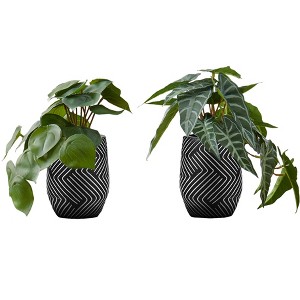 Cesicia 8" Tall Artificial Alocasia Plant with Black Cement Pots, Set Of 2 - 1 of 4
