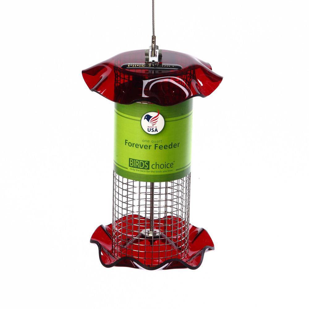 Photos - Bird Feeder / Water Bottle Choice Birds  1qt Forever Black Oil Sunflower Bird Feeder - Red: Stainless Steel, Acrylic, Weather-Resistant, No Assembly Req 