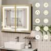 Lighted Medicine Cabinet with Mirror Wall Mounted Bathroom Mirror with Storage - 3 of 4